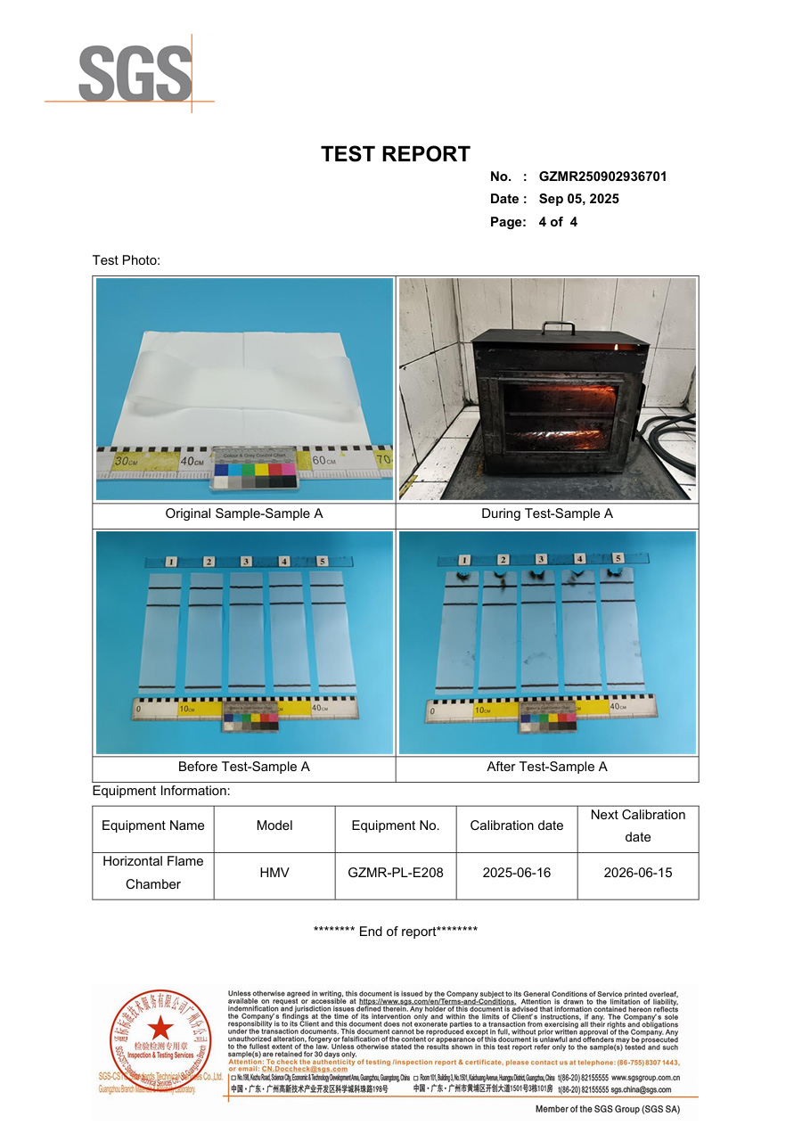 SGS Flammability Fire Test Report