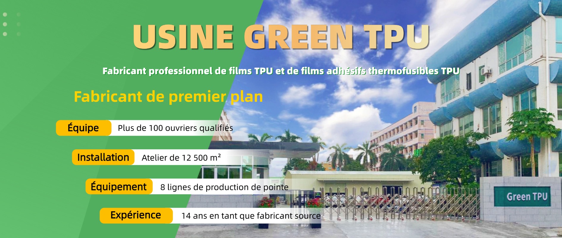 Usine GREEN TPU, fabricant professionnel de films TPU avec 14 ans d'expertise dans la production de films adhésifs thermofusibles
