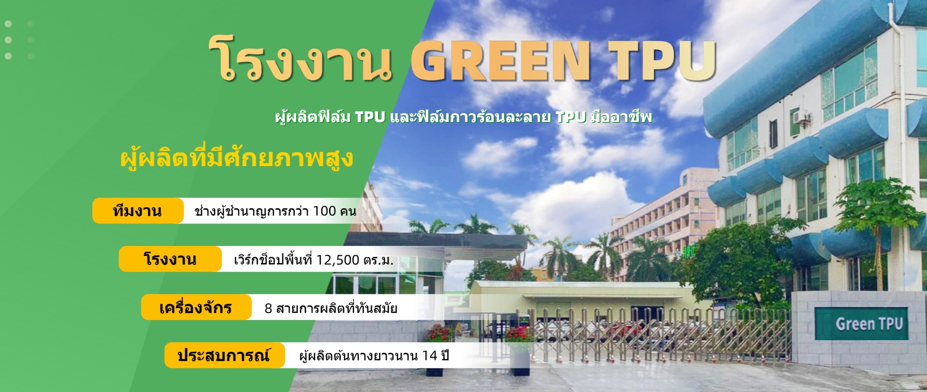 โรงงาน GREEN TPU ผู้ผลิตฟิล์ม TPU มืออาชีพพร้อมความเชี่ยวชาญ 14 ปีในการผลิตฟิล์มกาวร้อนละลาย